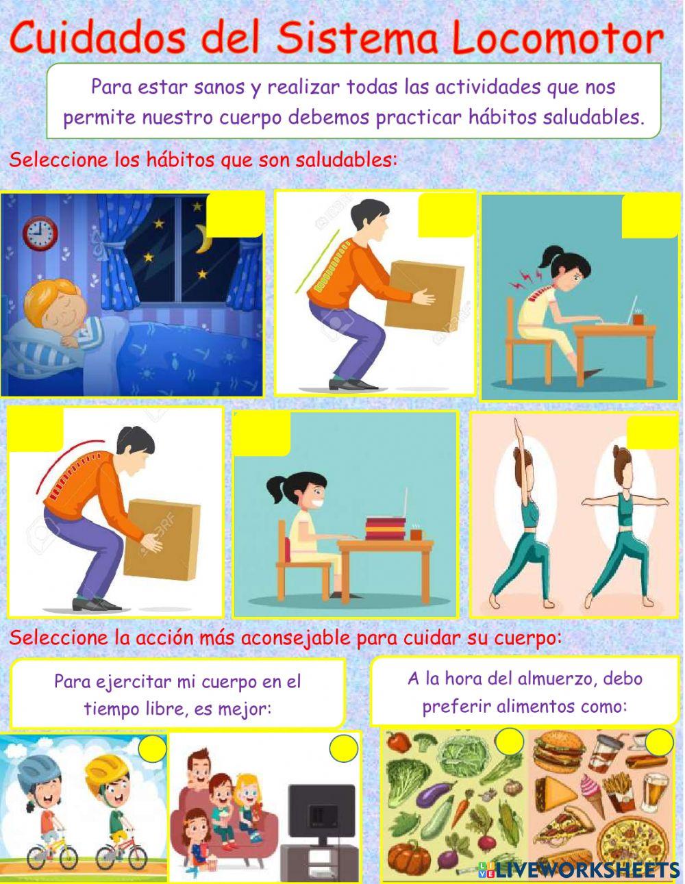 Cuidados Sistema Locomotor