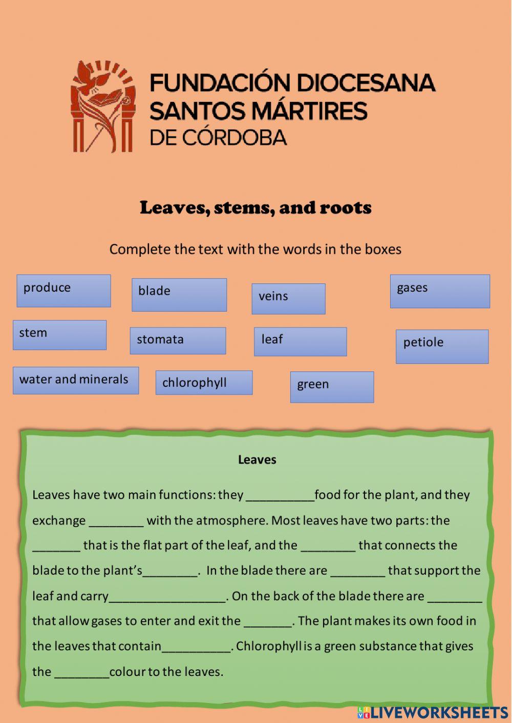 The parts of a plant