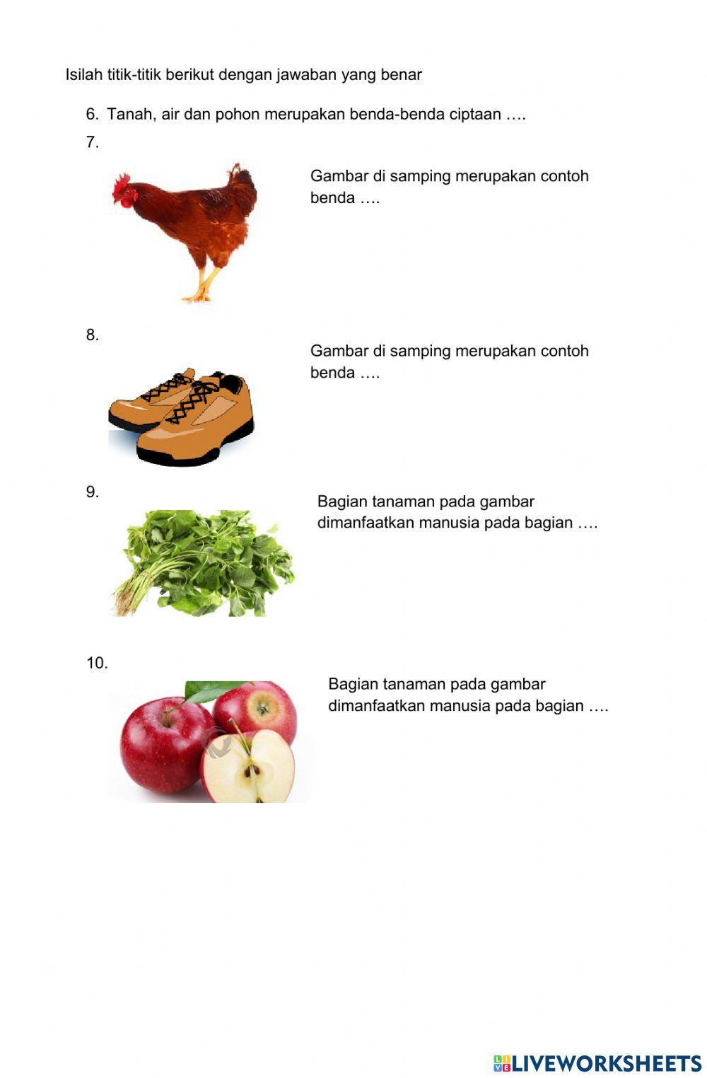 Pendalaman Materi Tema 7 Muatan Bahasa Indonesia