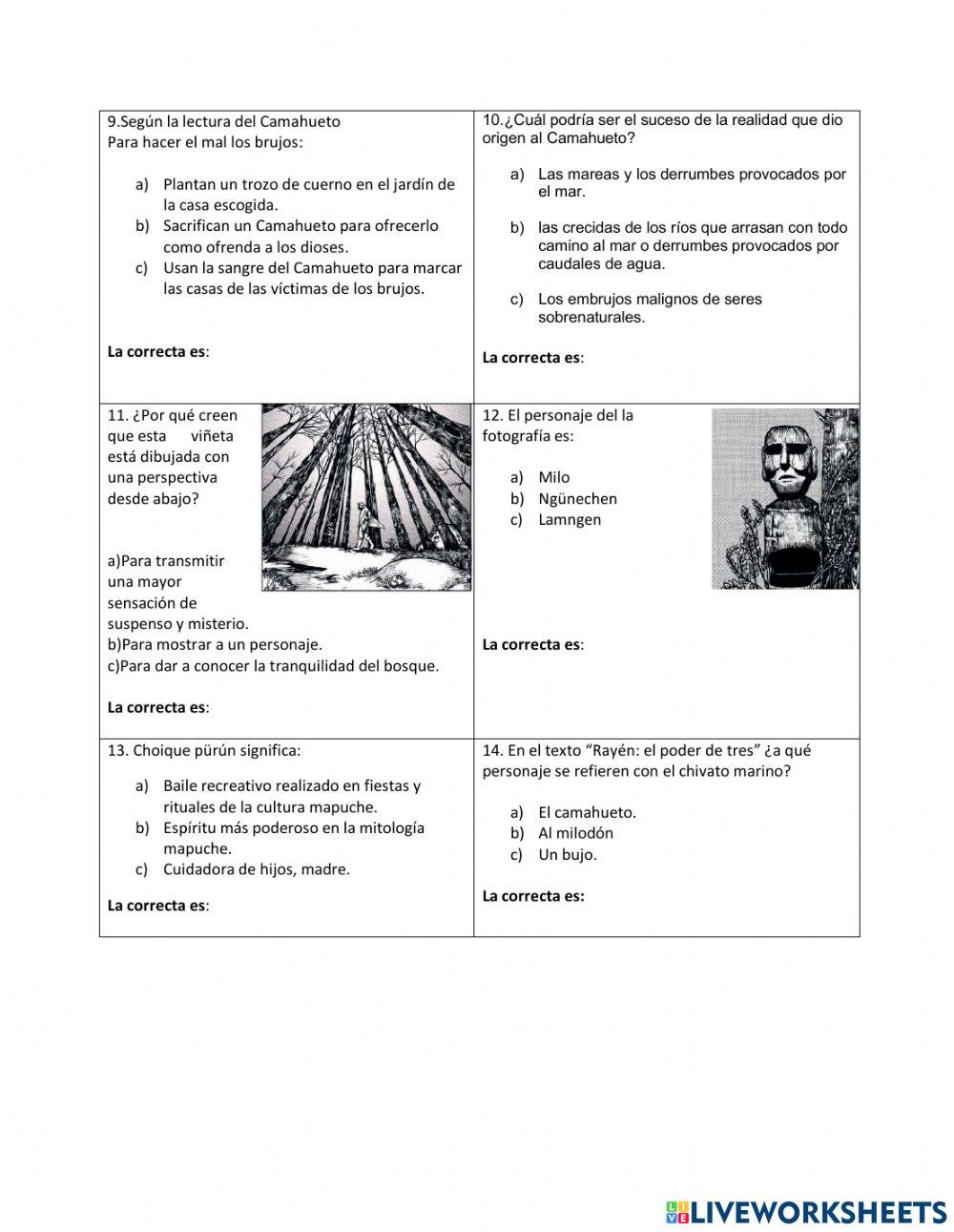 Lectura comprensiva Camahueto Rayen