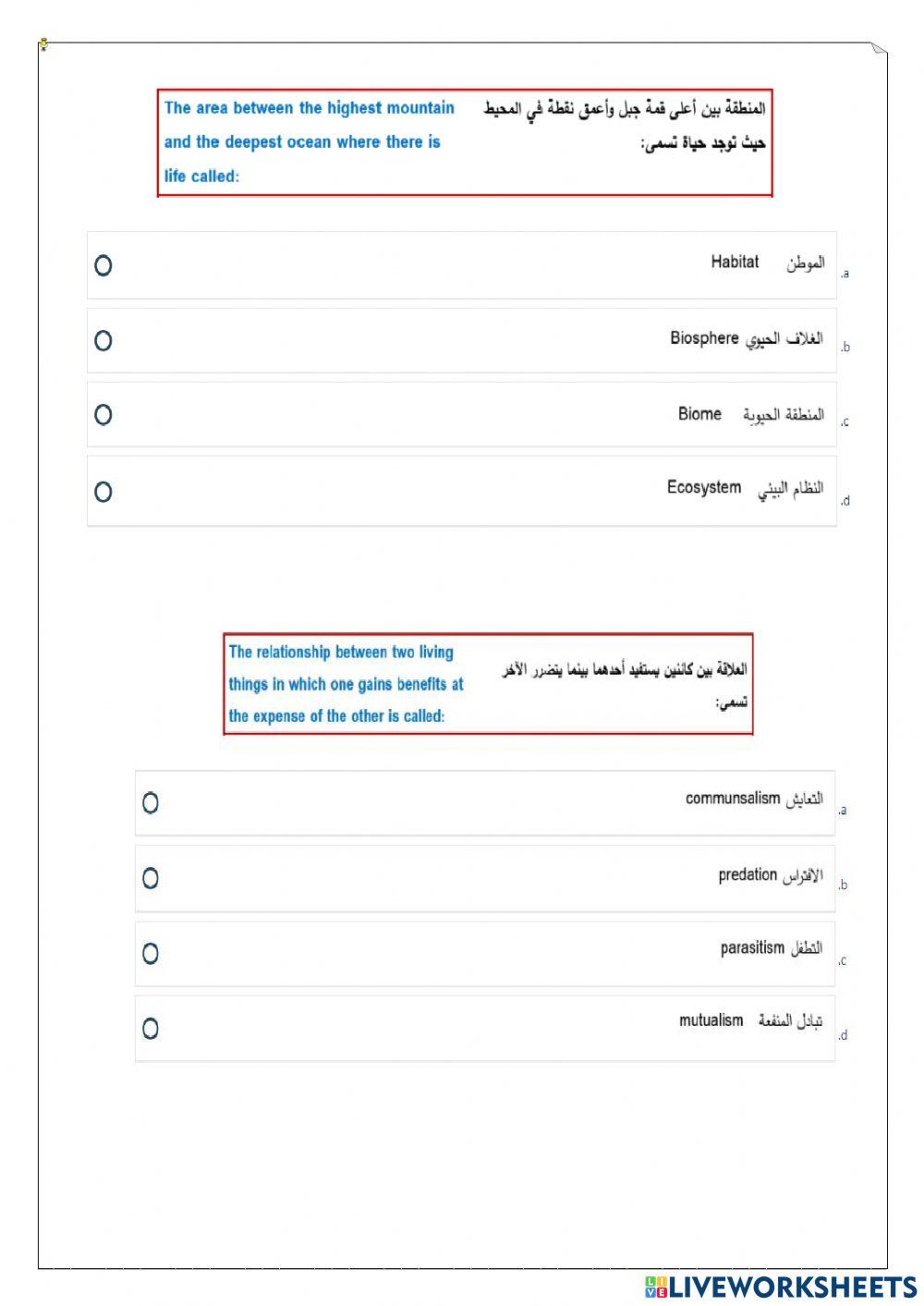 ورقة عمل تفاعلية