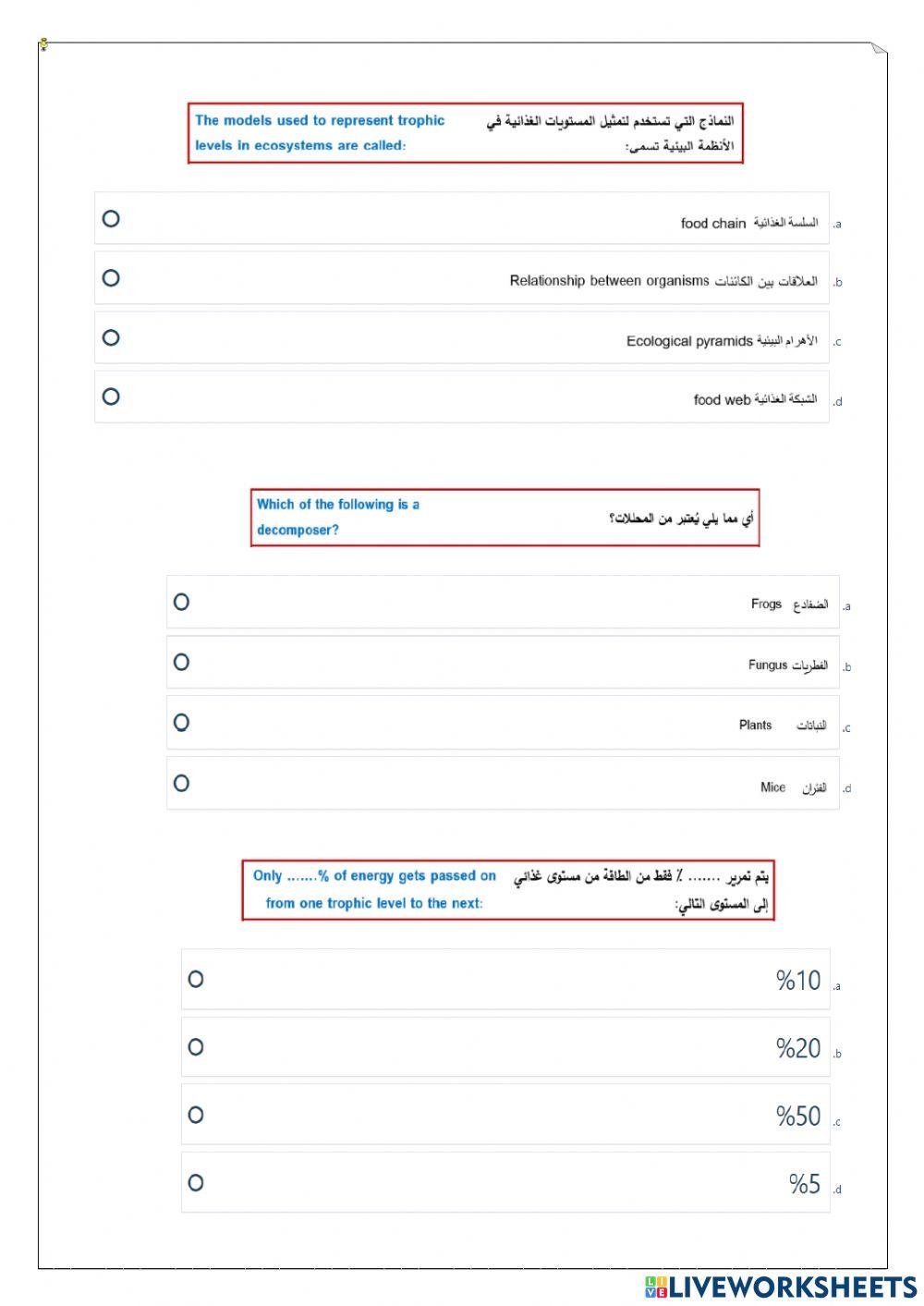 ورقة عمل تفاعلية