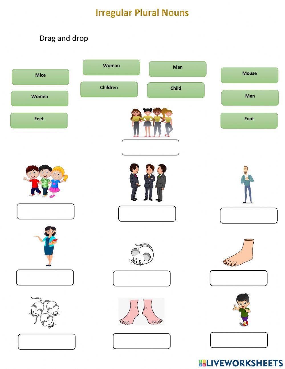 Irregulas Plural Nouns