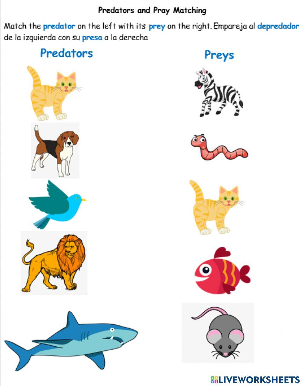 Predators and preys
