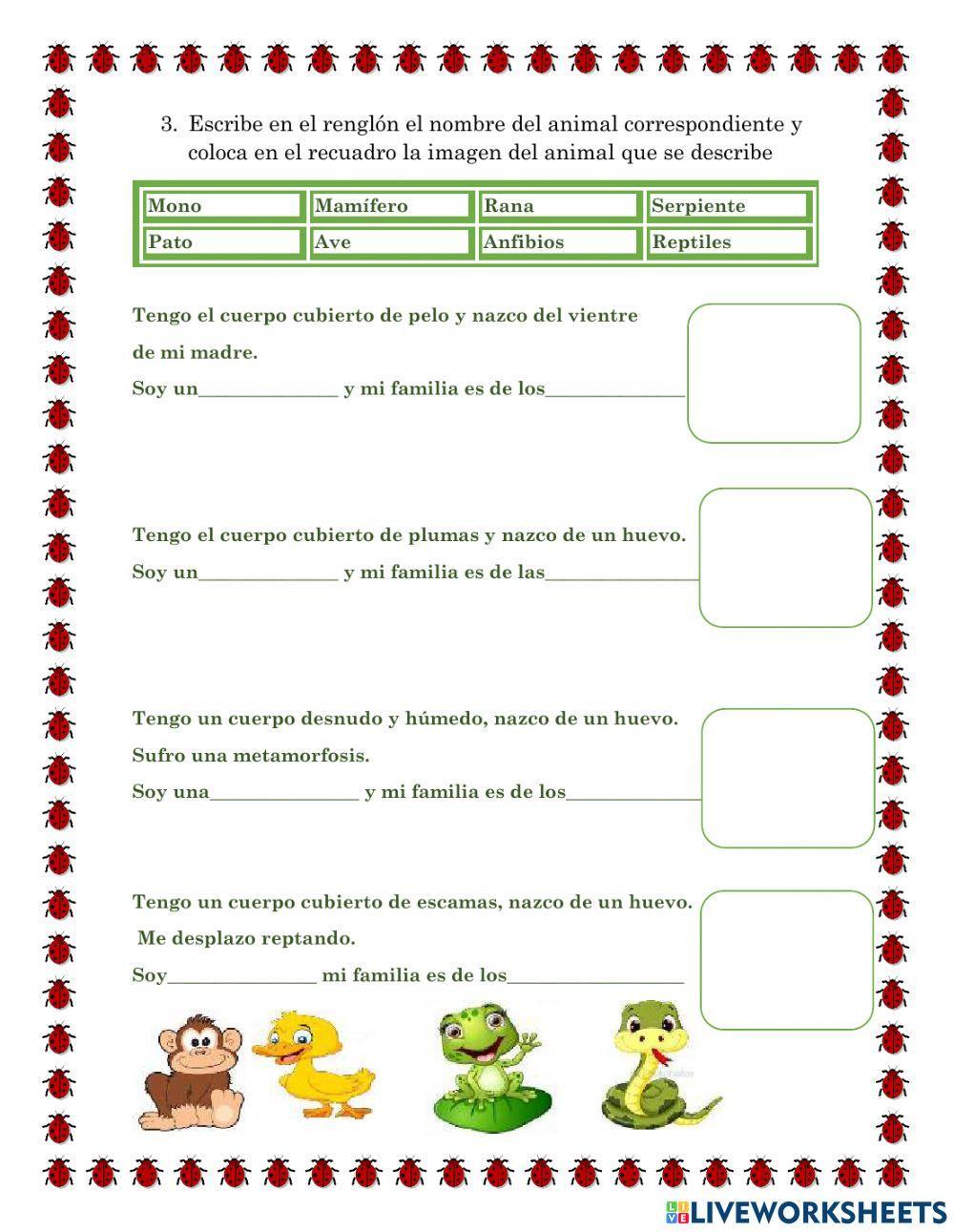 Animales ovíparos y vivíparos