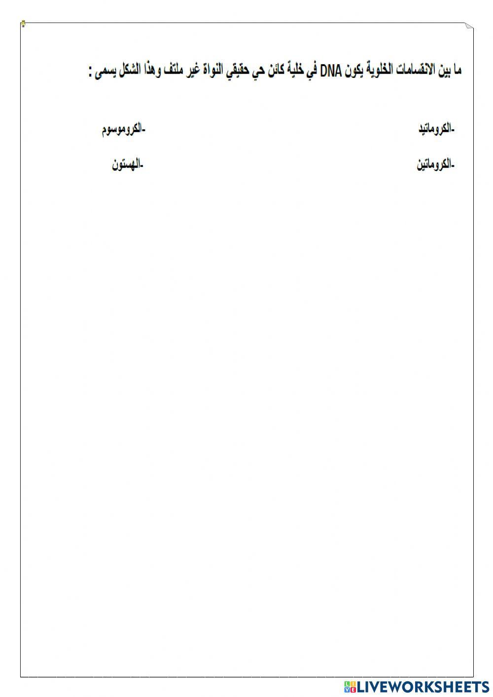 ورقة عمل تفاعلية