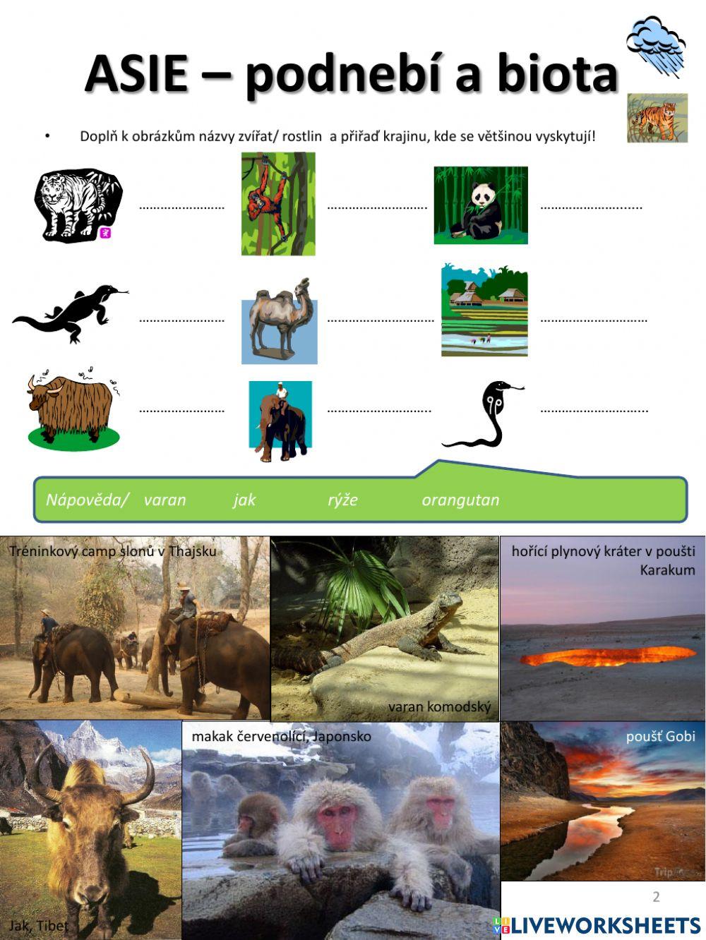 PL Asie-biota a podnebí