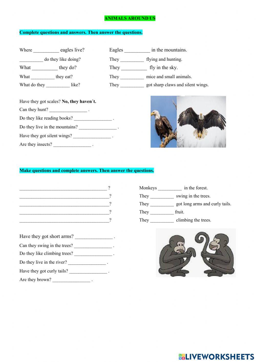 AJ5-6 Animals around us1