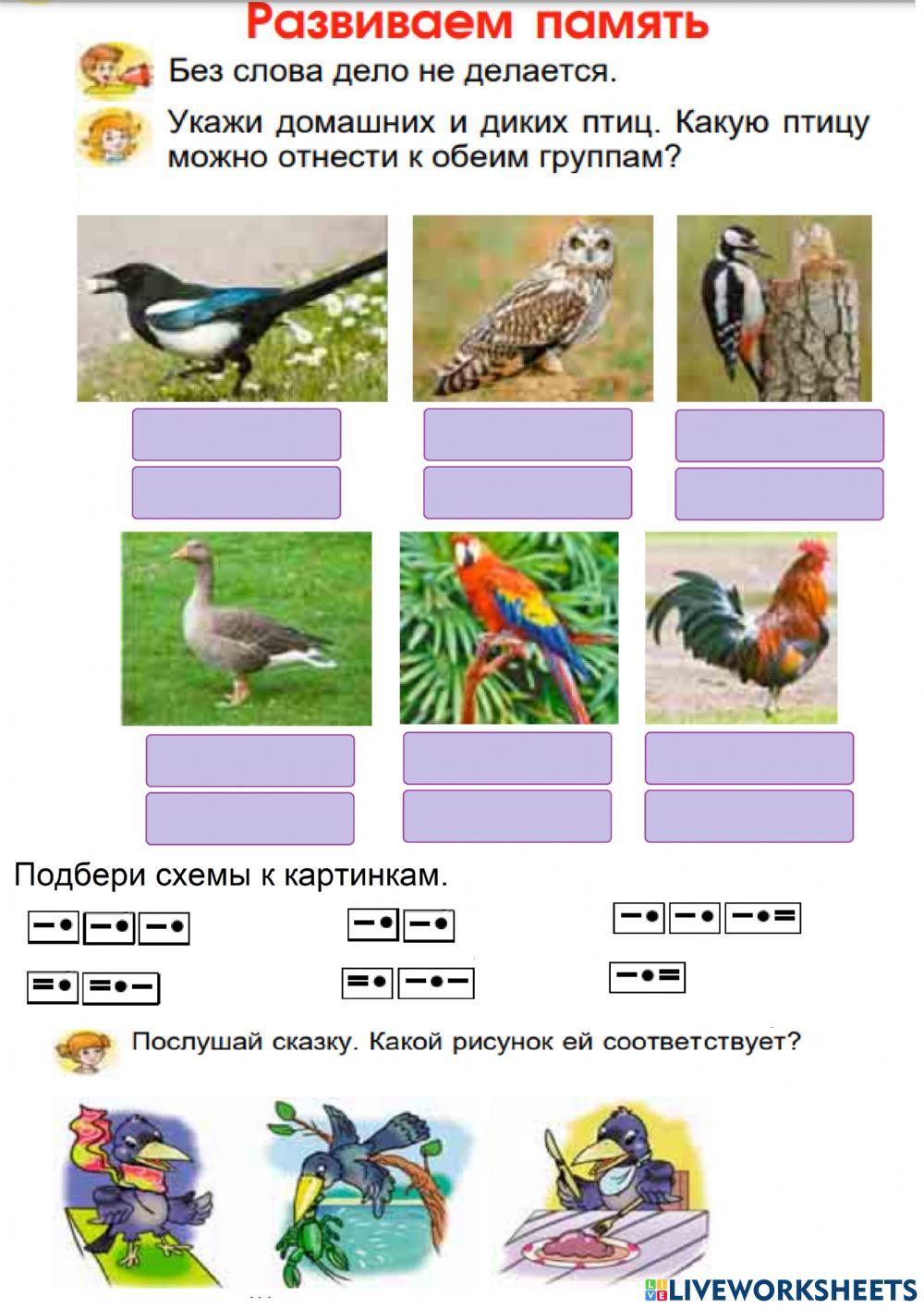 Сказка Сорока и рак