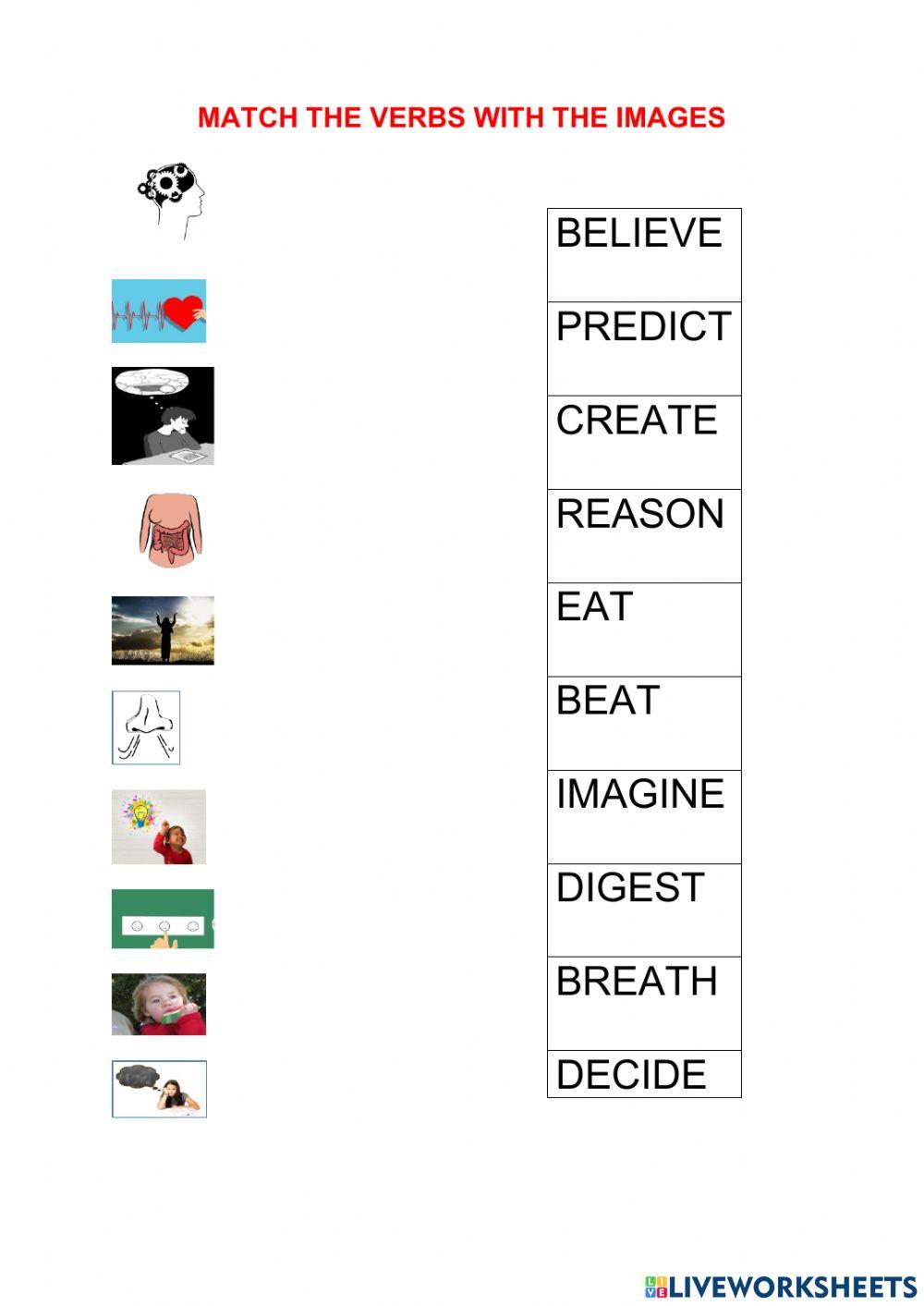 Mind and physical verbs