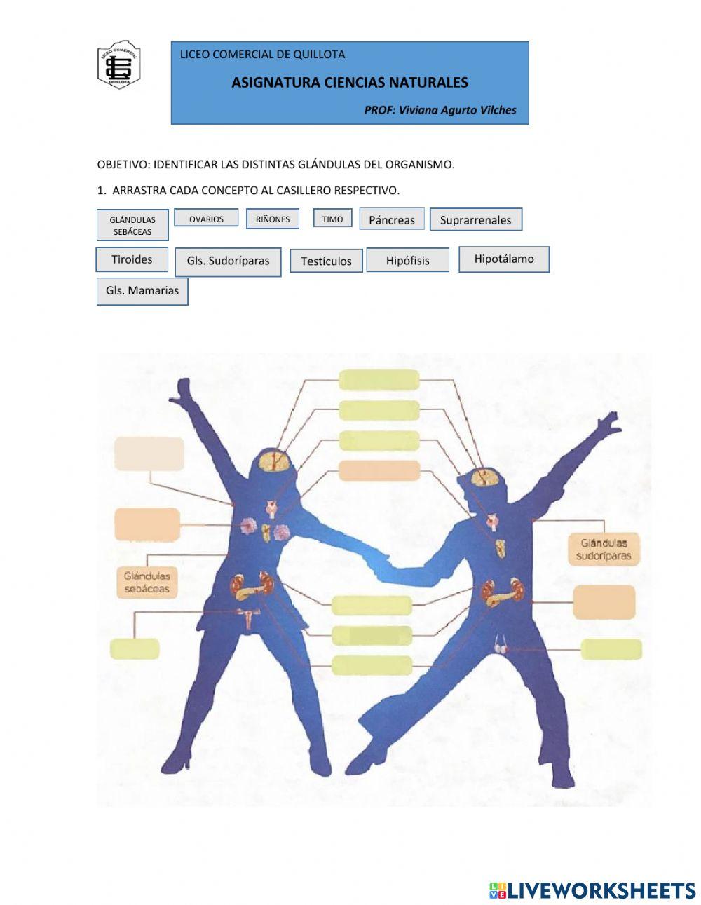 Sistemas de relación
