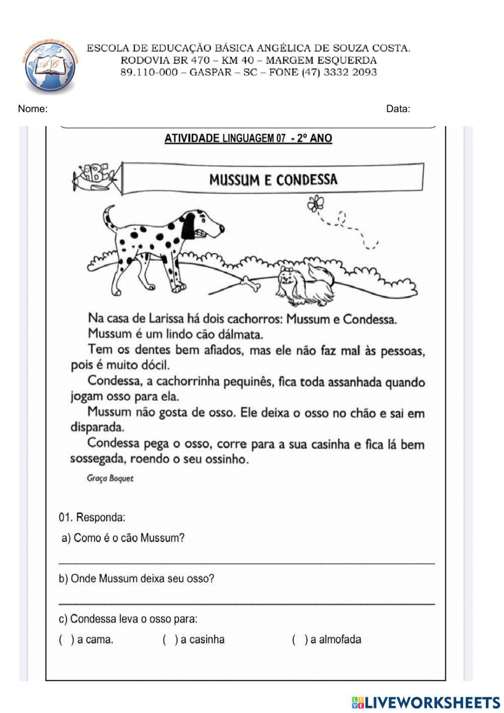 Interpretação de texto