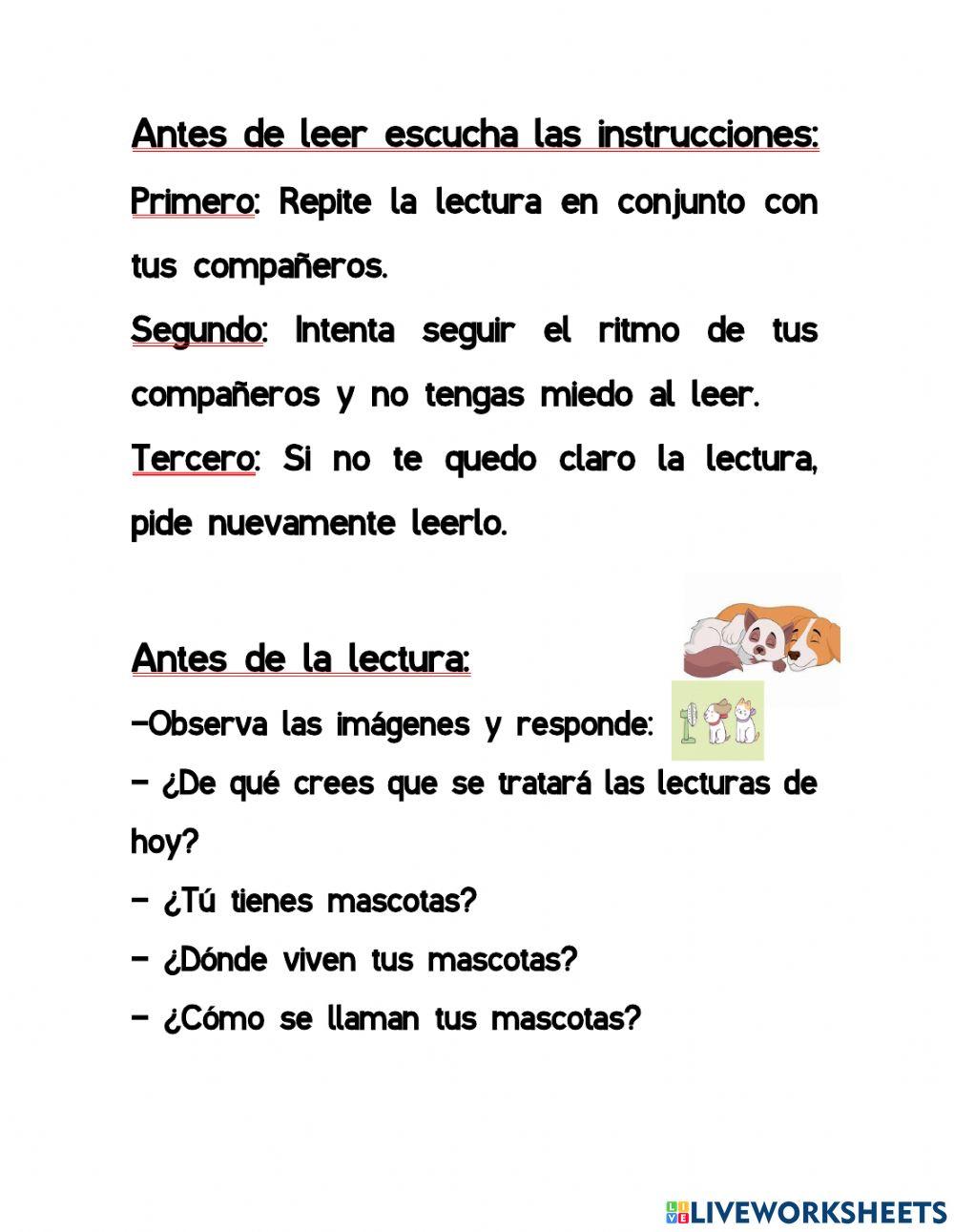 Actividad 2 Comprensión Lectora 2 básicos