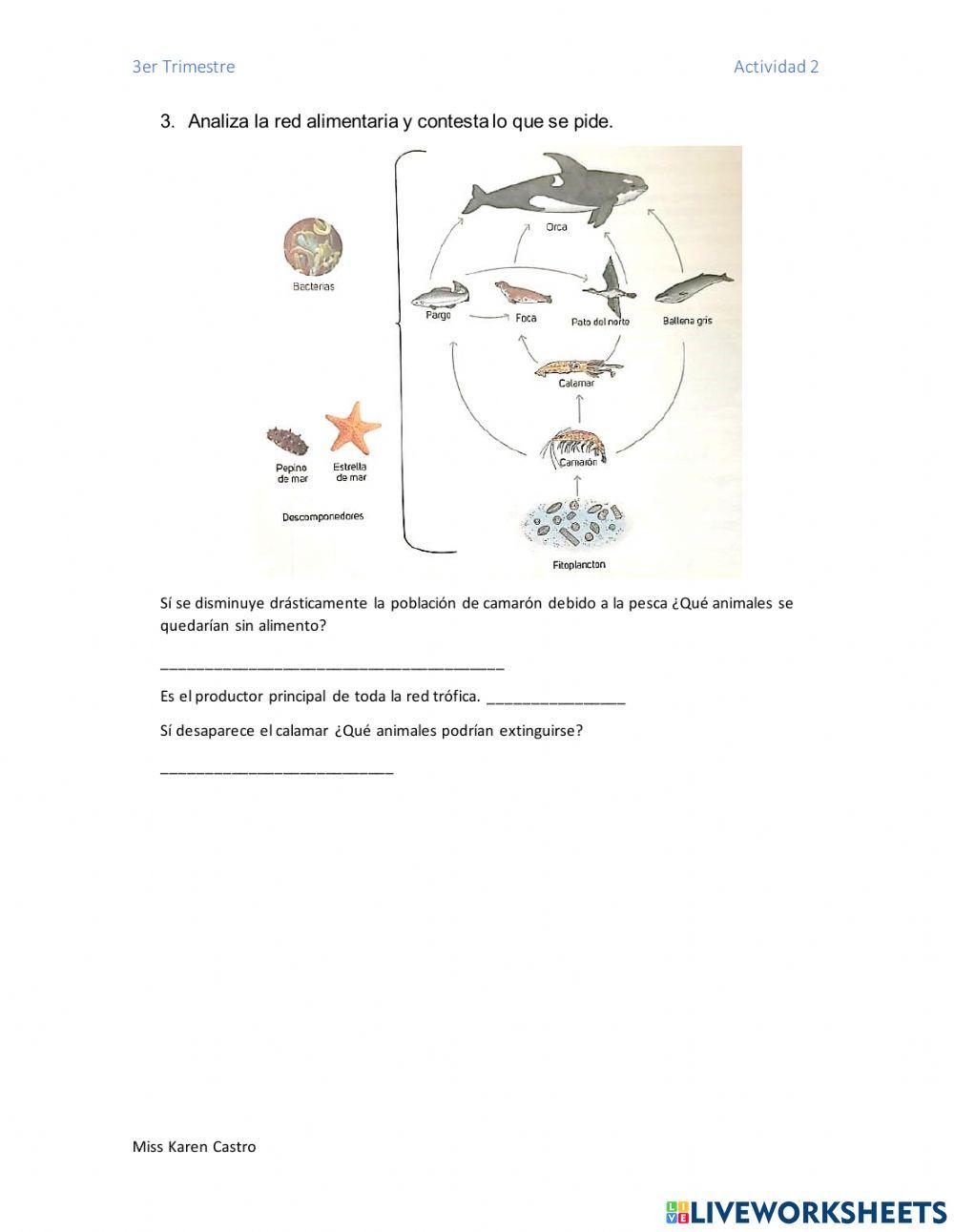 Intercambio de materia y de energía