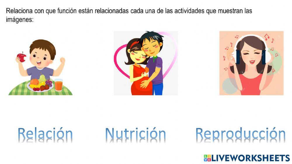 Funciones Vitales del Ser Humano