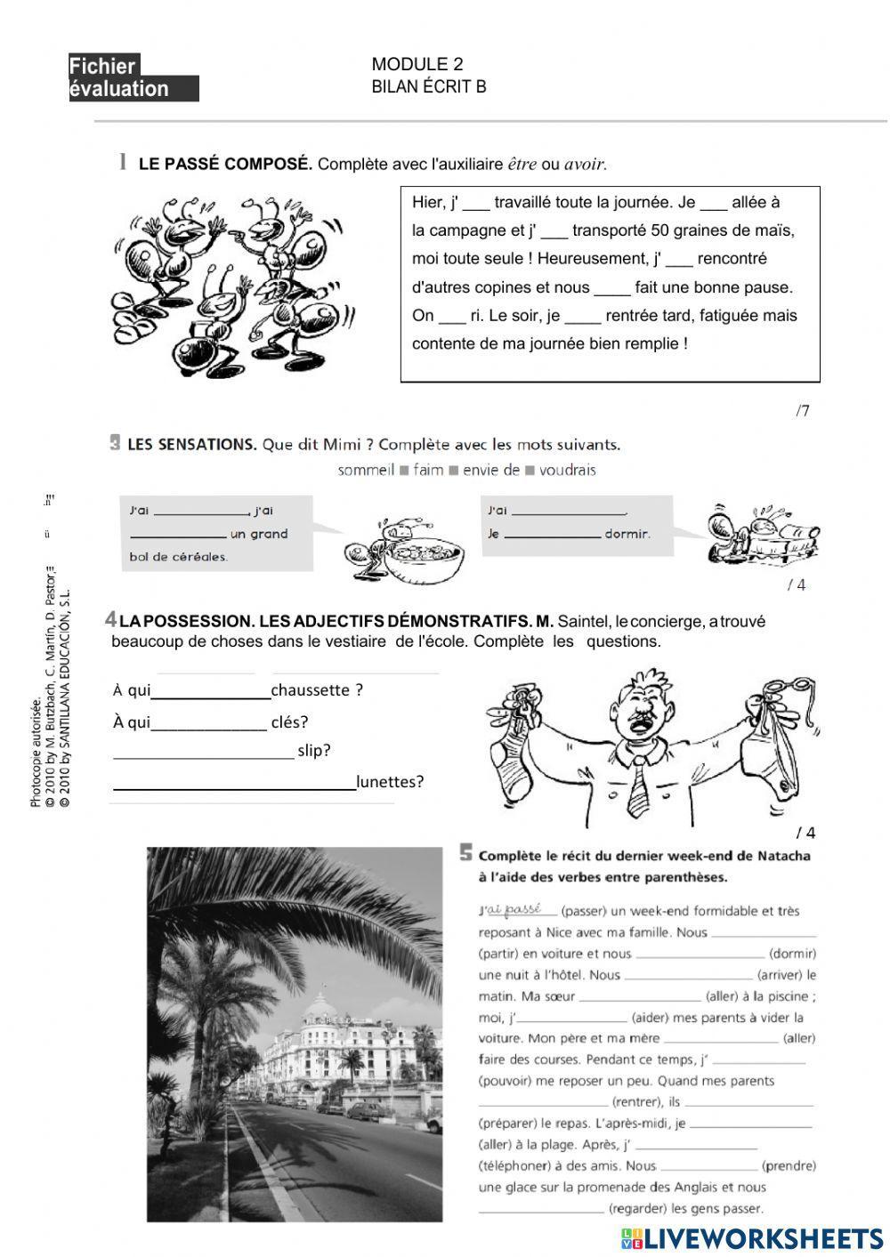 Contrôle passé composé