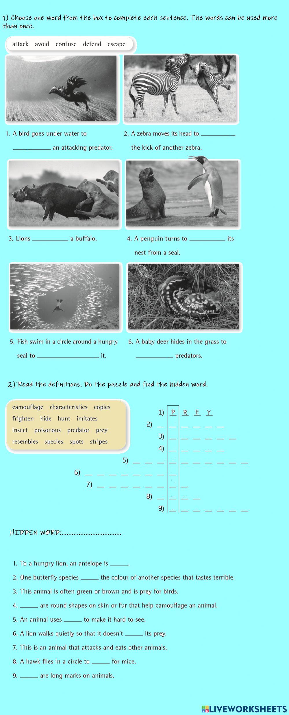 Predators and Preys Predators and Preys