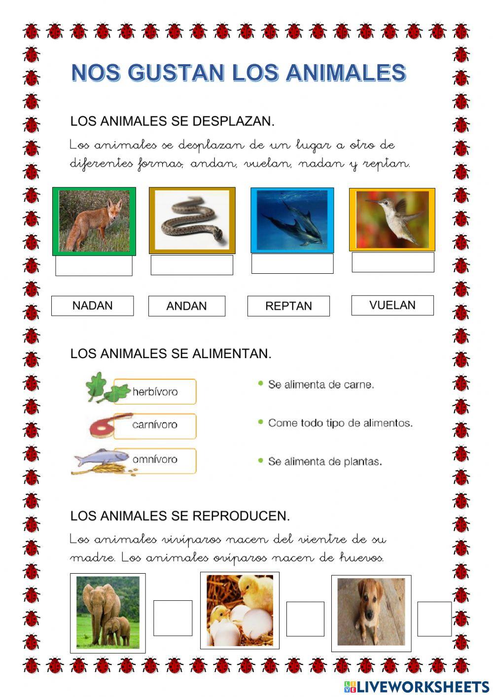 Nos gustan los animales