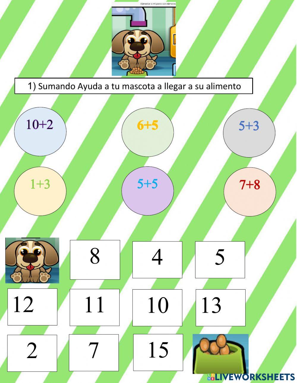 Alimentando a mi perro