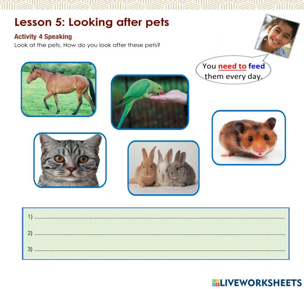 Access 6 - T3 - U8 - L5 - Act 4