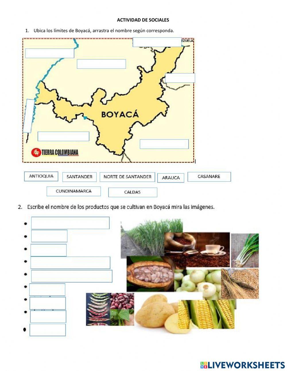 Actividad de sociales