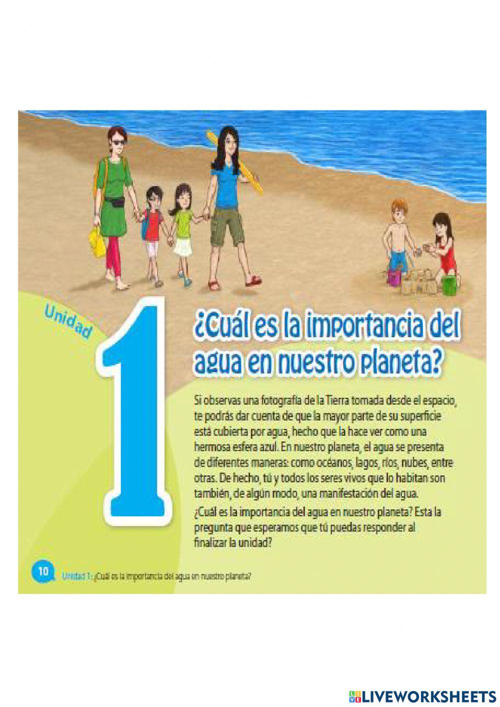 ¿Cuál es la importancia del agua en nuestro planeta?