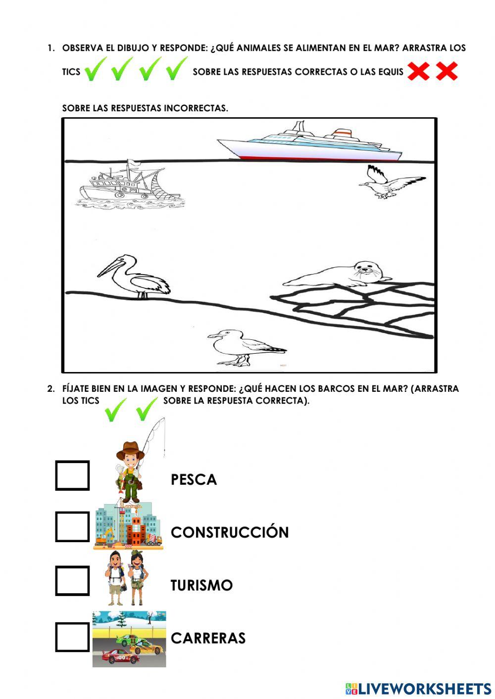 ¿Cuál es la importancia del agua en nuestro planeta?