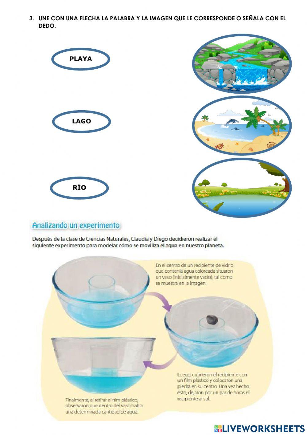 ¿Cuál es la importancia del agua en nuestro planeta?