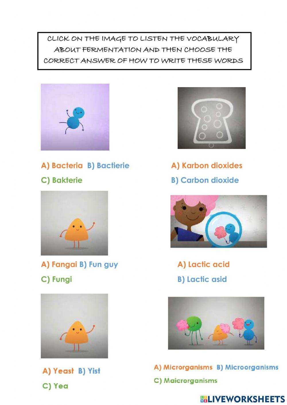 Fermentation vocabulary