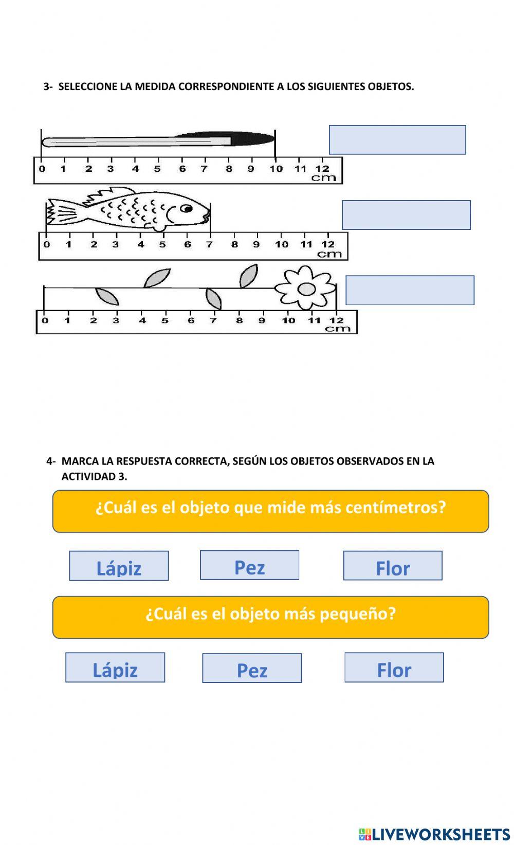 Unidades de longitud
