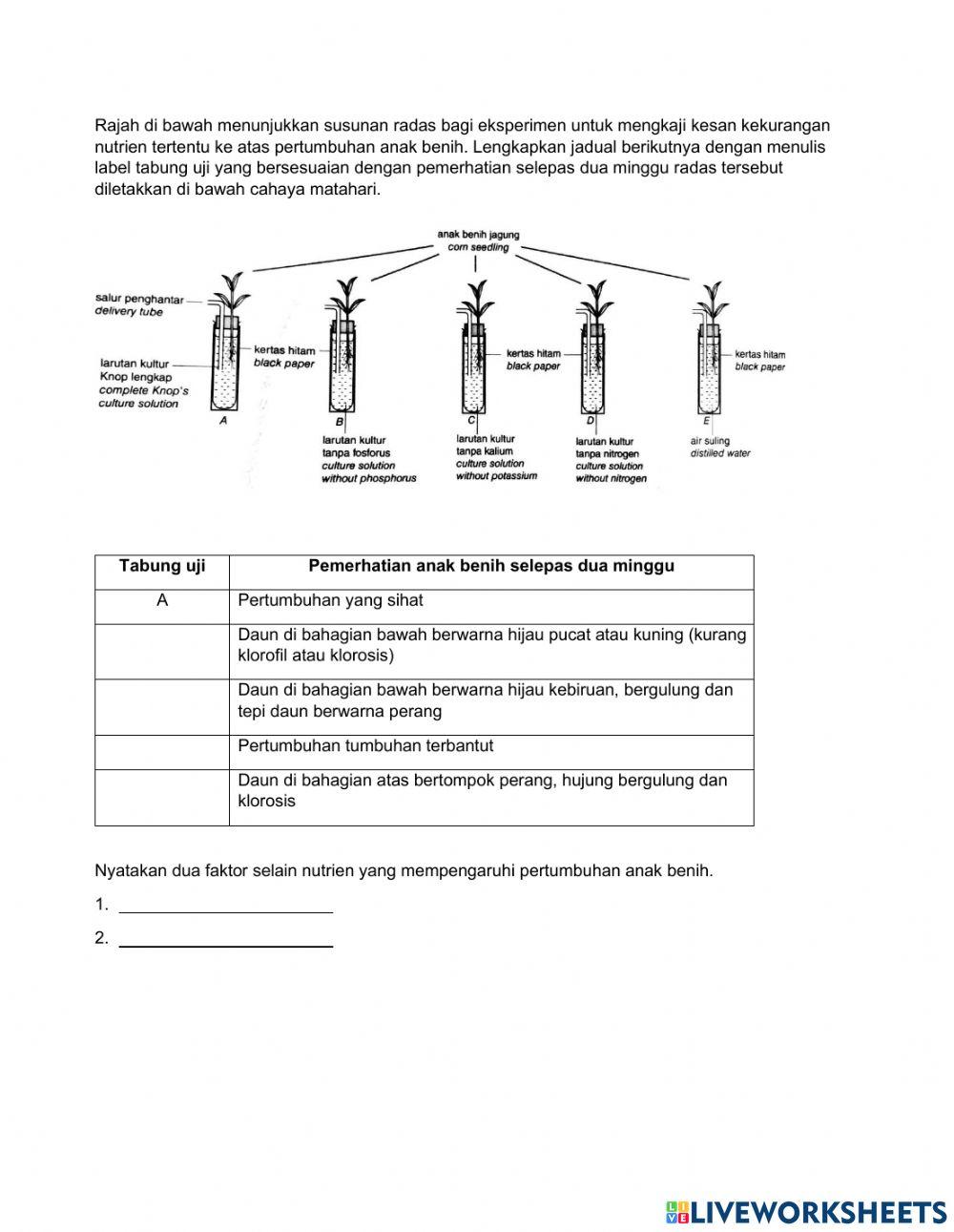 Bab2.2 dan 2.3 F5 Sains KSSM
