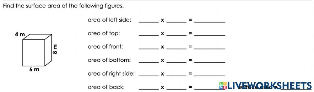Surface Area Surface Area