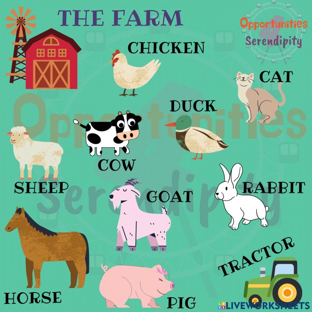 Farm Animals