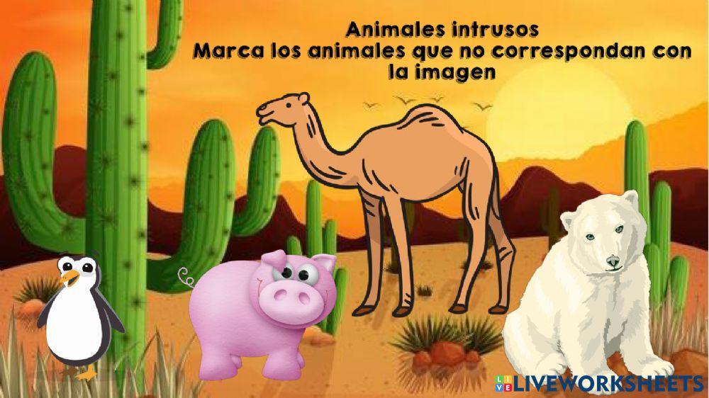 Dónde viven los animales
