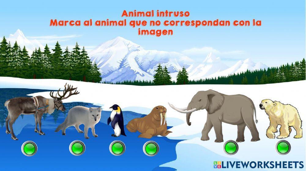 Dónde viven los animales