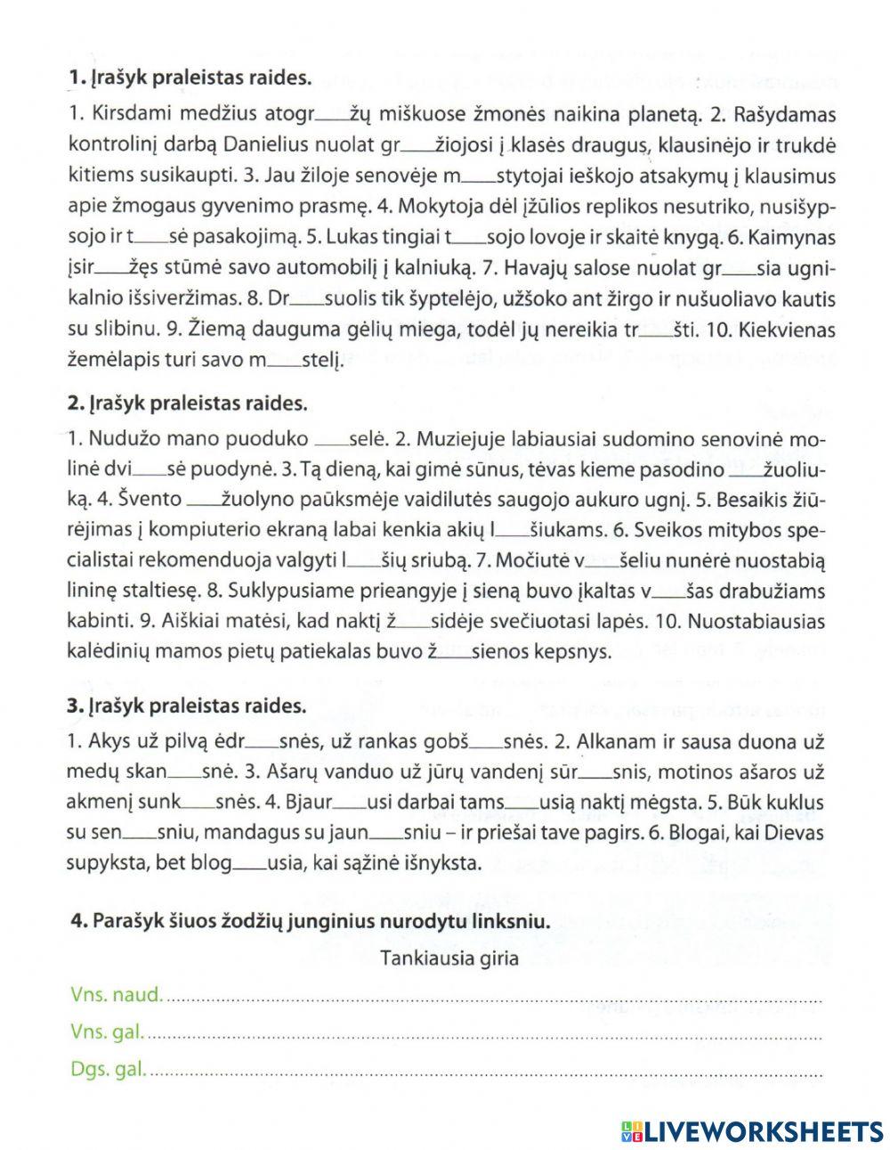 Gramatikos kartojmas (4 klasė)