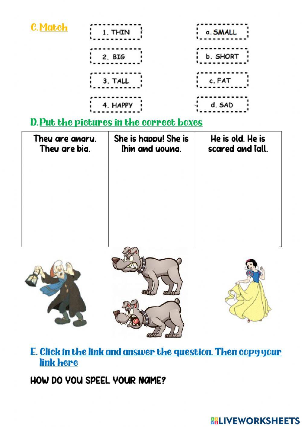 Third Grade Exam I Unit