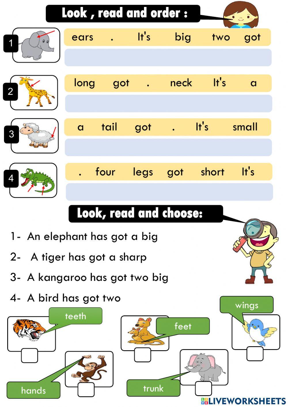 Read and order ,read and choose then match