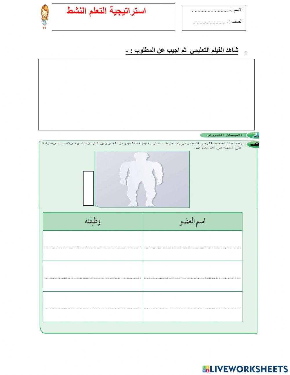 الجهاز الدوري