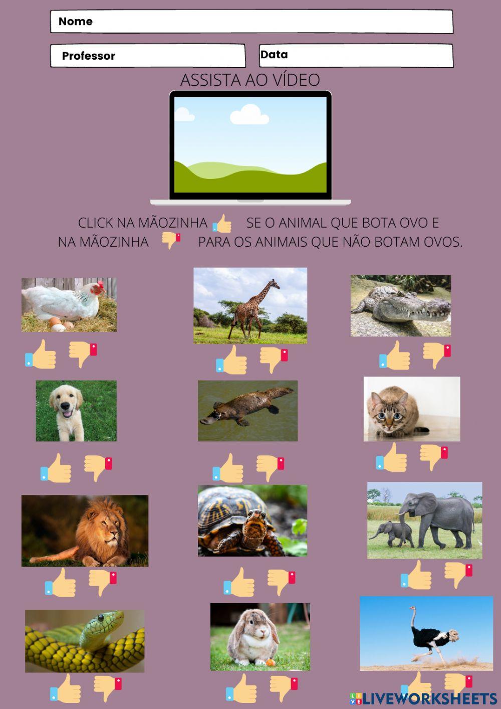 Animais que botam ovos