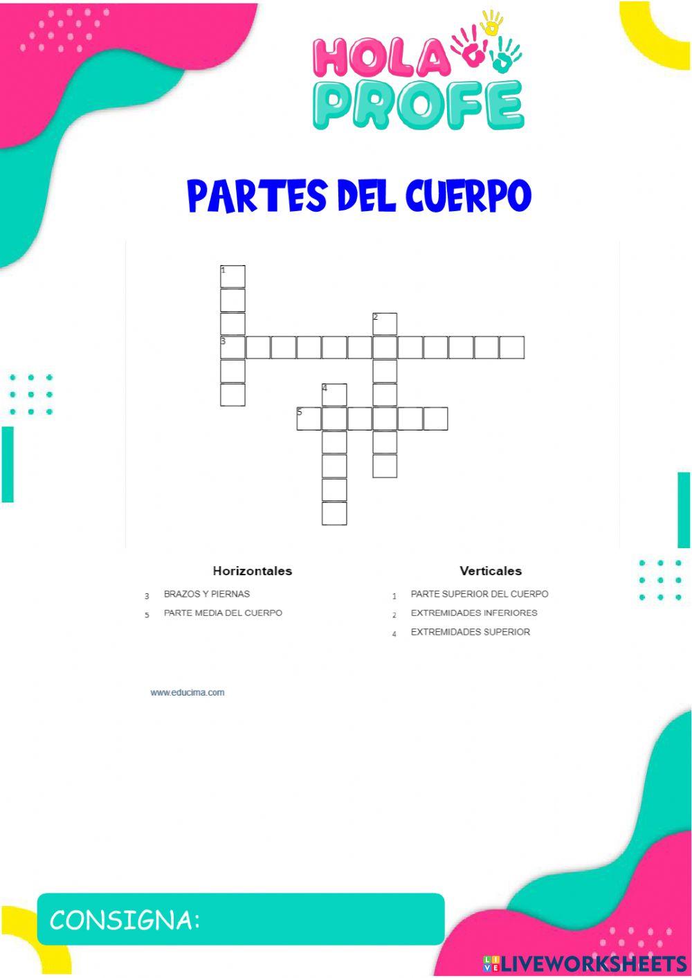 Partes del cuerpo
