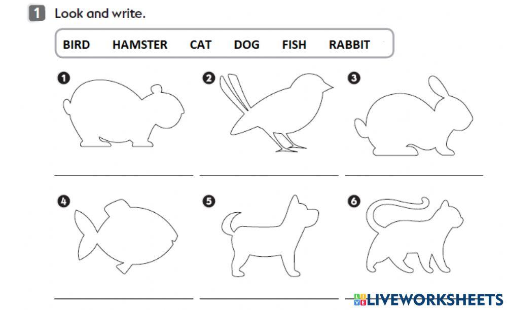 959680 | 2nd grade - Animals | maia_garea