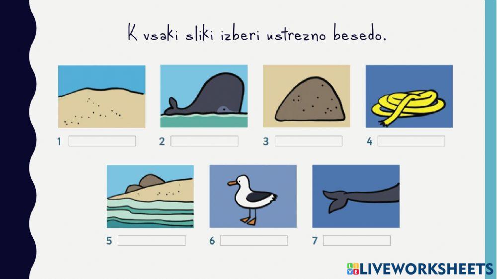 Oma Fix und die kleinen Wikinger - Zaključek