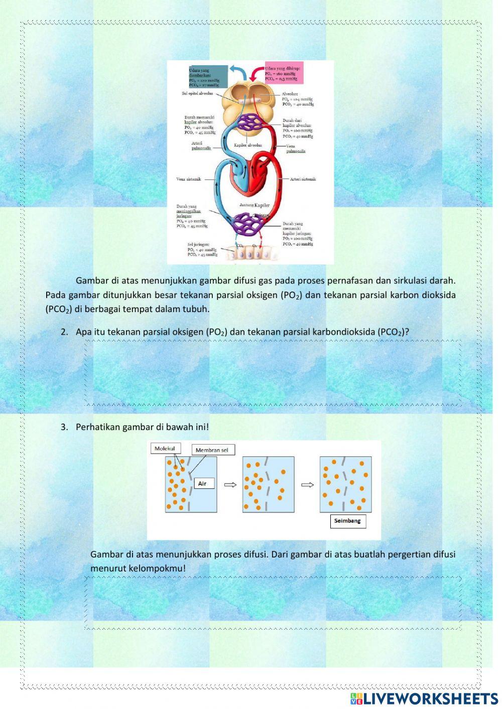 Aplikasi Tekanan Zat pada Hewan