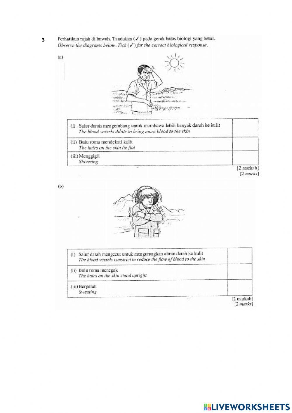 Exercise form 1