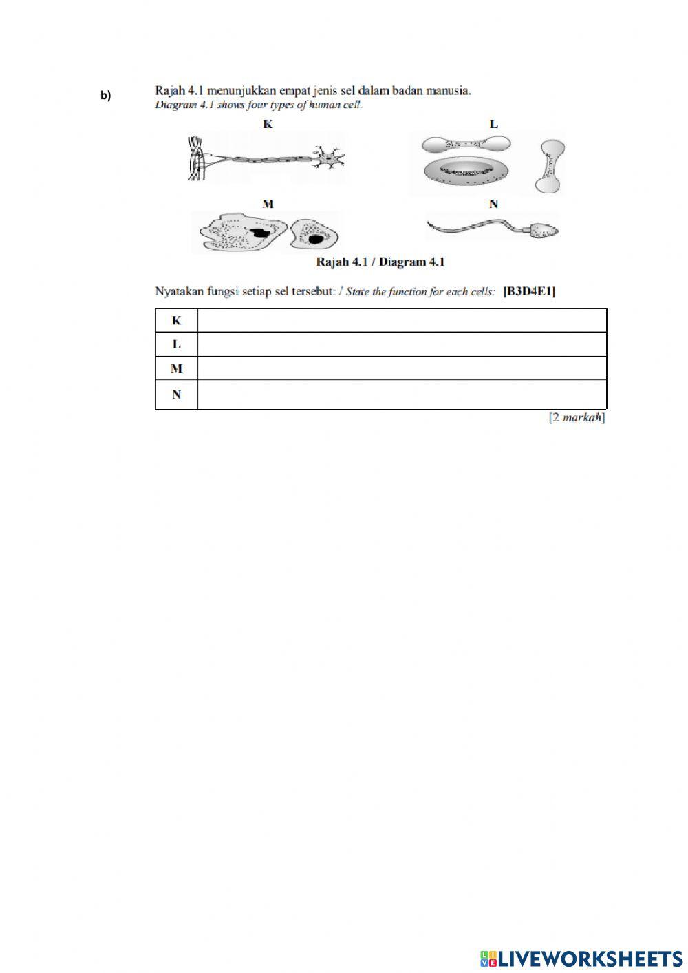 Exercise form 1