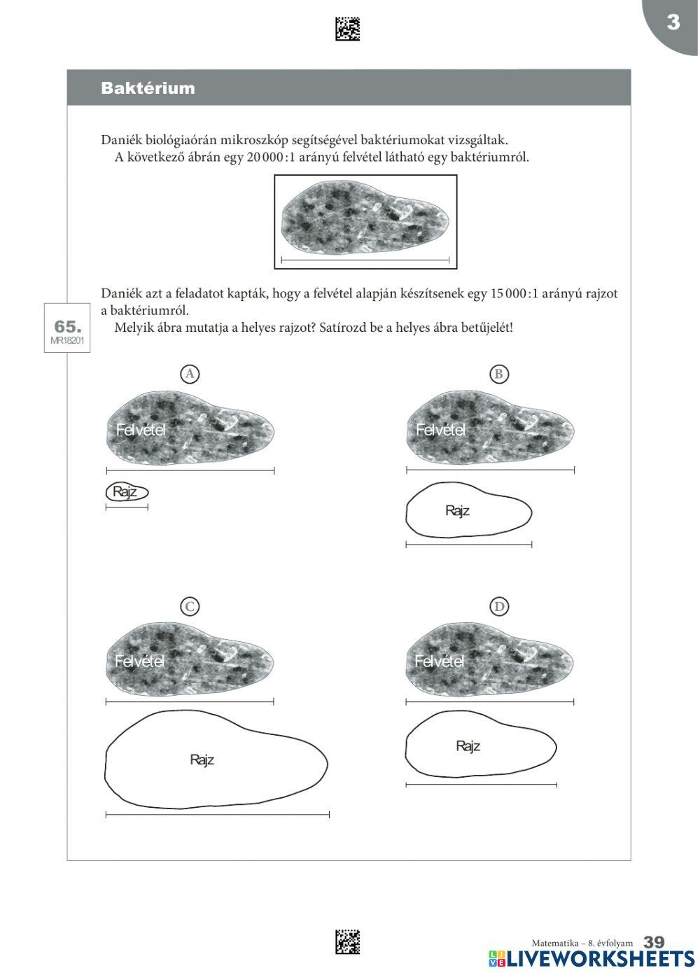 Kompetencia matek 2019 8.1