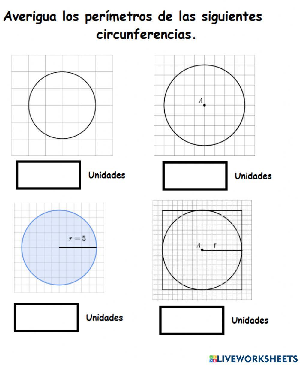 Longitud de la circunferencia.