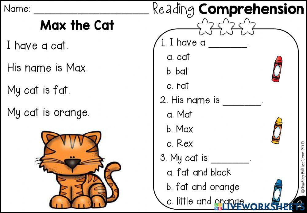 Max the cat
