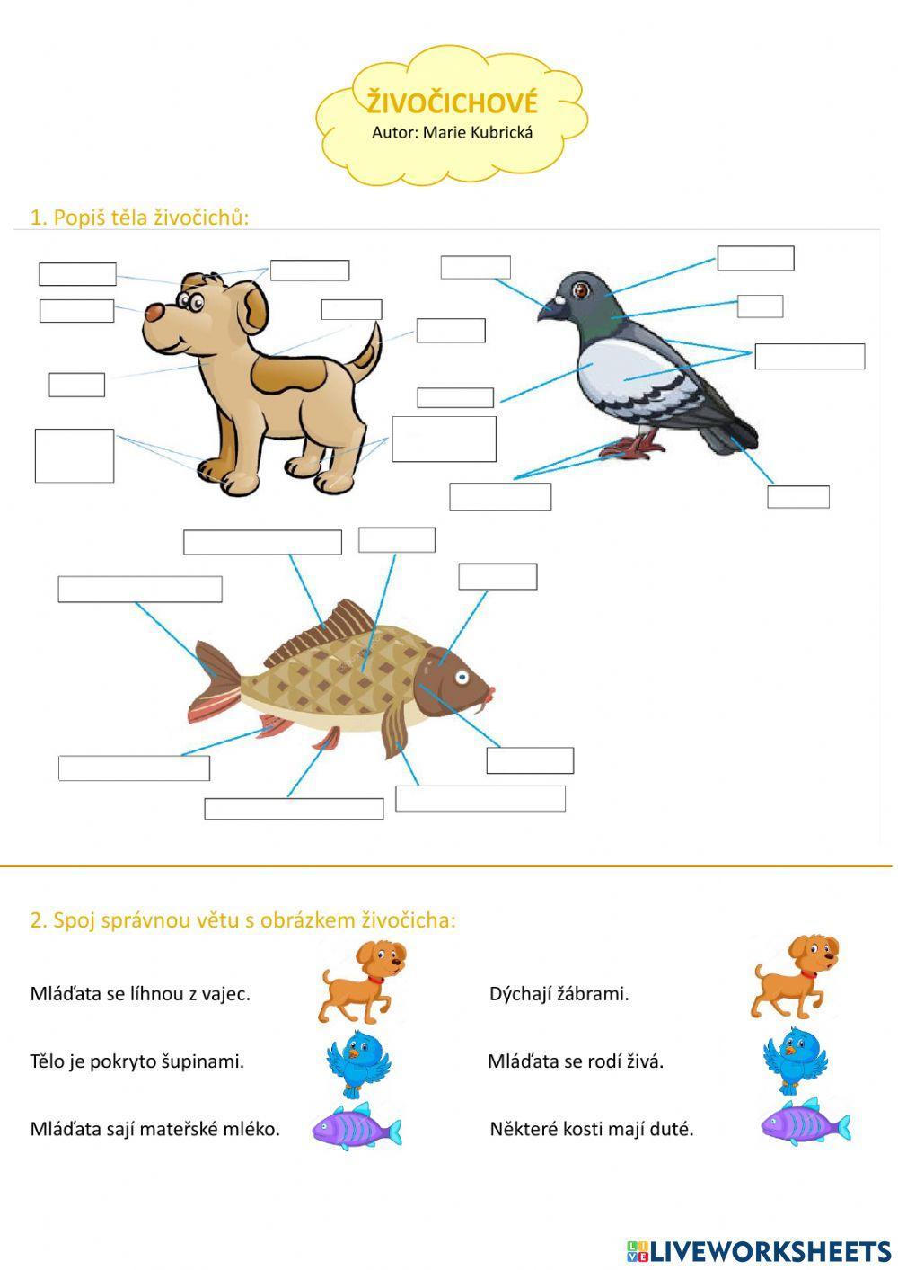 Pracovní list- Živočichové